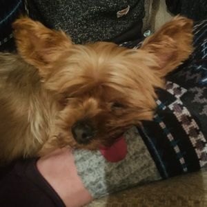 Meet your Posher, Jamie